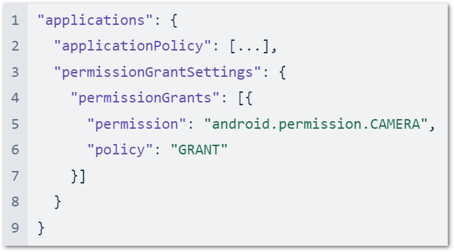permission grant payload.png